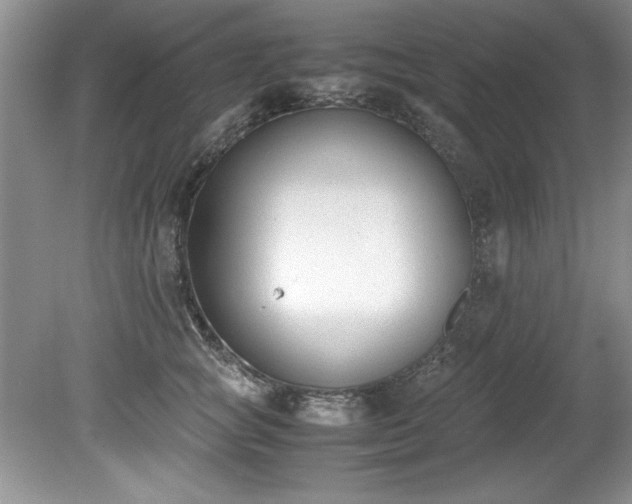 X0000081570757200701221052