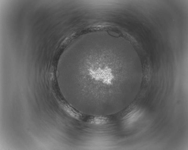 X0000081570758200701221052