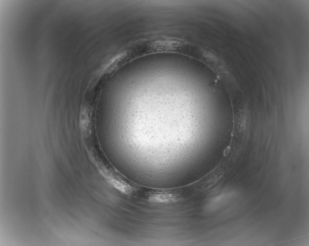 X0000081570759200701221052