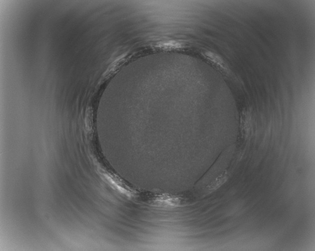 X0000081570760200701221052