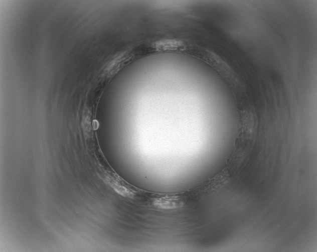 X0000081570761200701221052