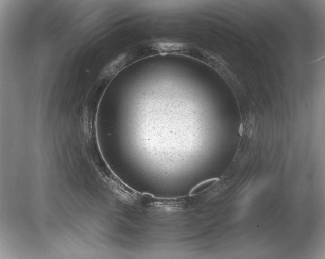 X0000081570763200701221052