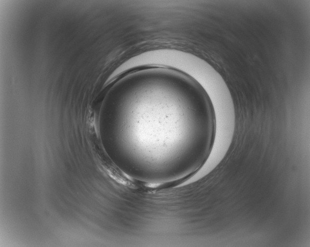 X0000081570766200701221053