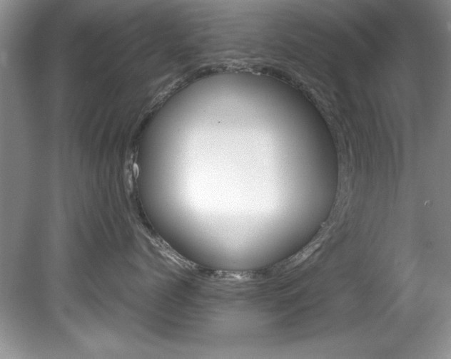 X0000081570768200701221053