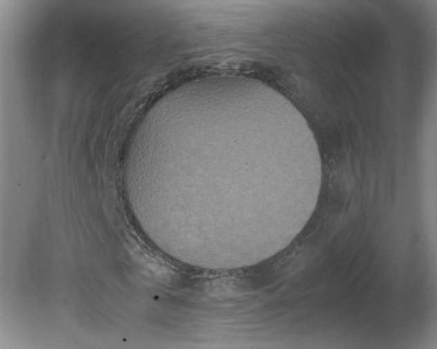 X0000081570769200701221052