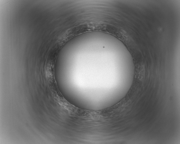 X0000081570770200701221052