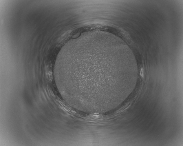 X0000081570771200701221052