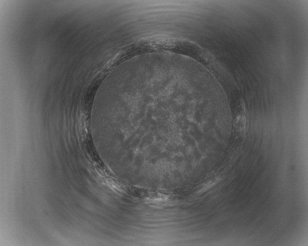 X0000081570772200701221052