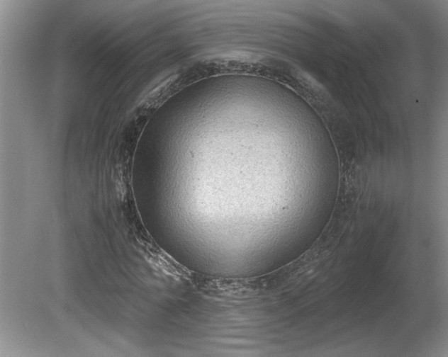 X0000081570774200701221052