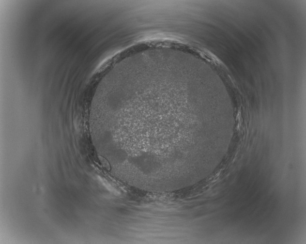 X0000081570775200701221052