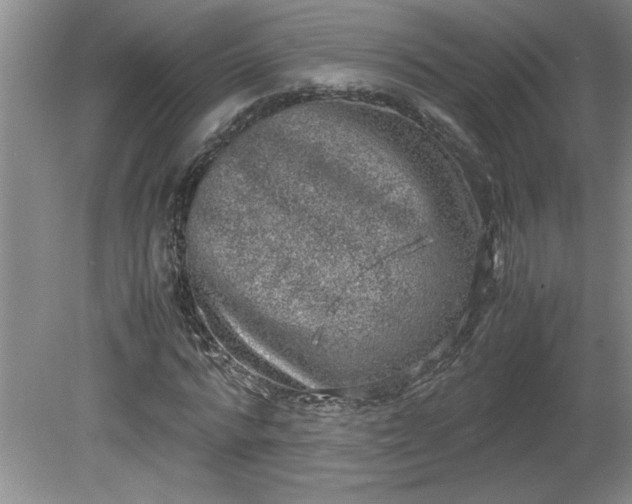 X0000081570776200701221052