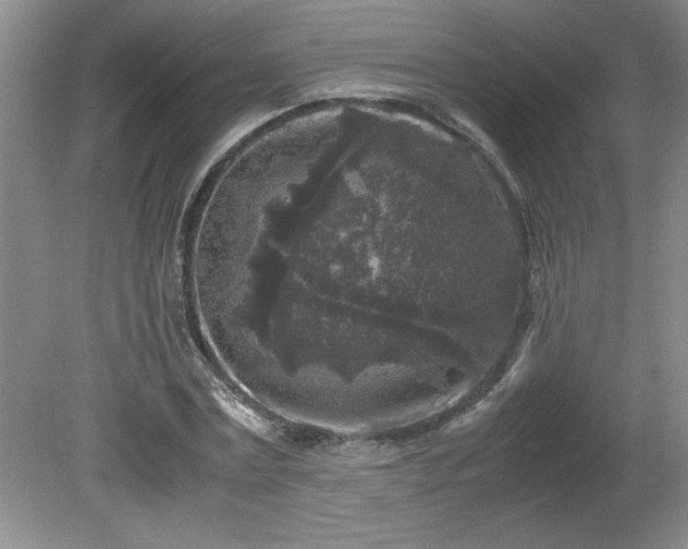 X0000081570779200701221052