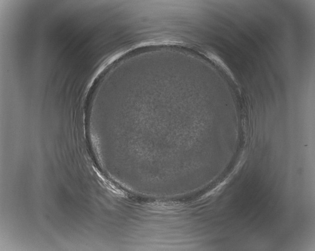 X0000081570781200701221052