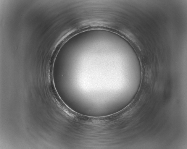 X0000081570782200701221052