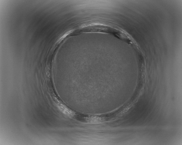 X0000081570785200701221051