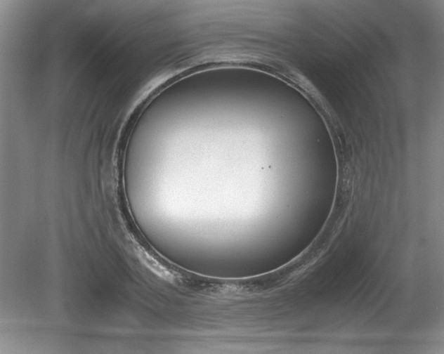 X0000081570787200701221051