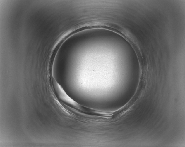 X0000081570789200701221051