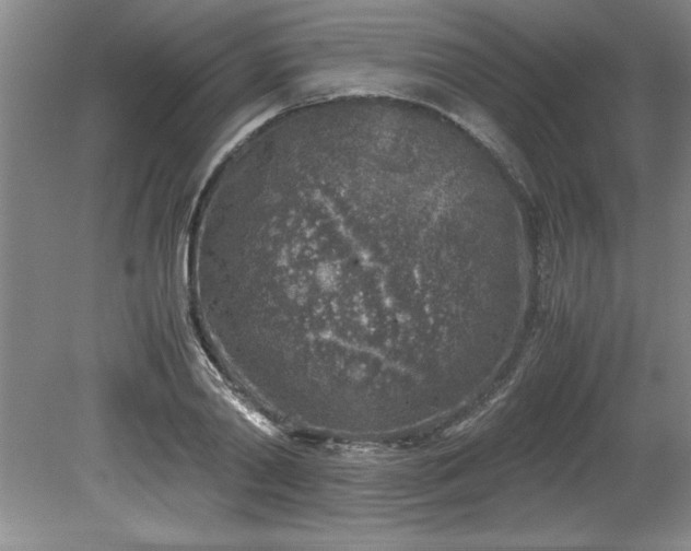 X0000081570790200701221051