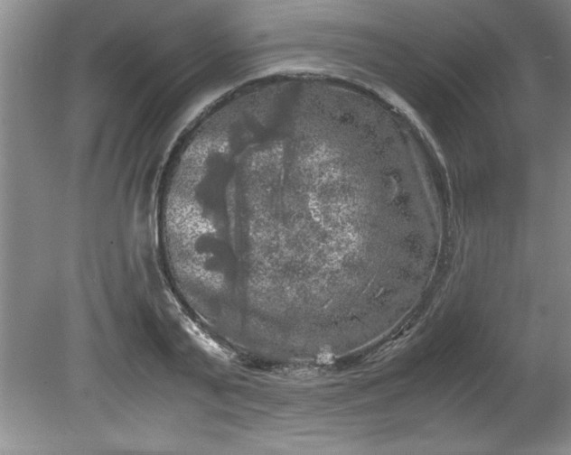 X0000081570791200701221051