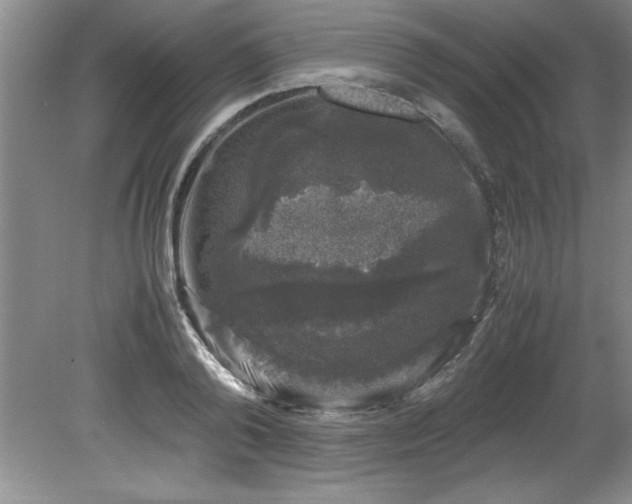 X0000081570792200701221051