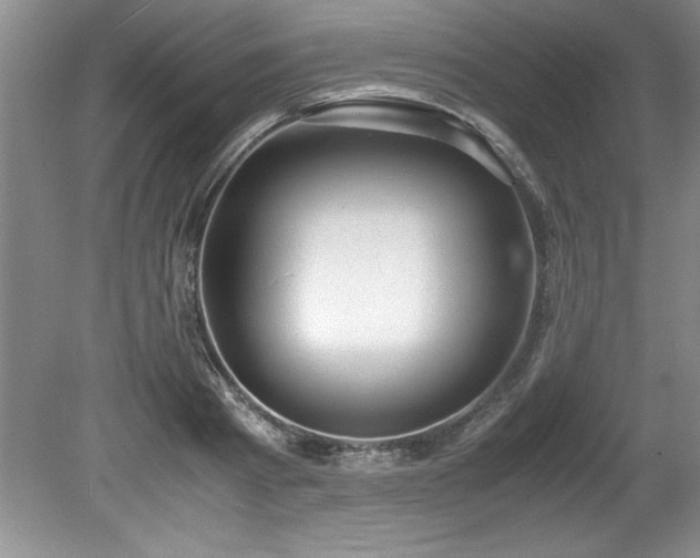 X0000081570793200701221051