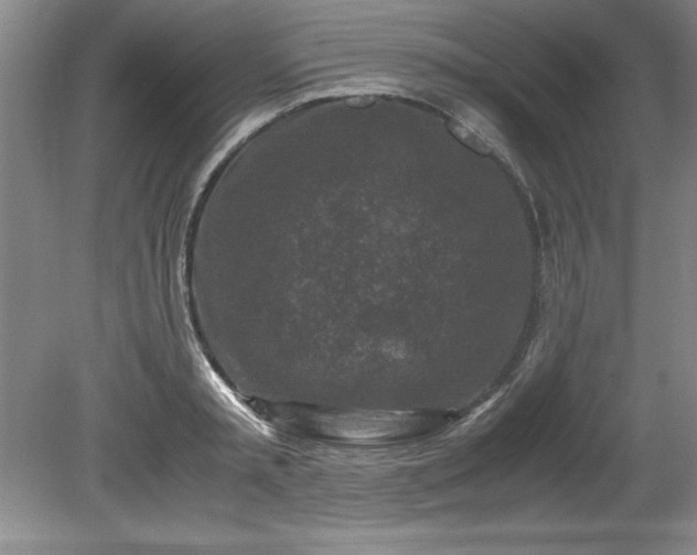 X0000081570797200701221051