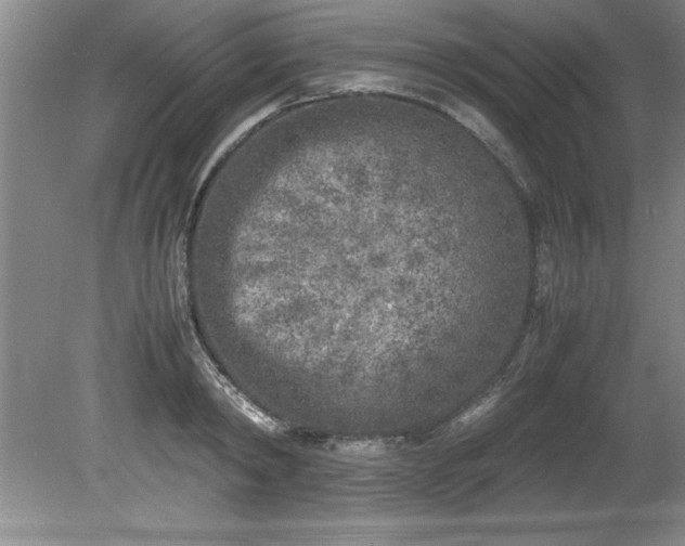 X0000081570798200701221051