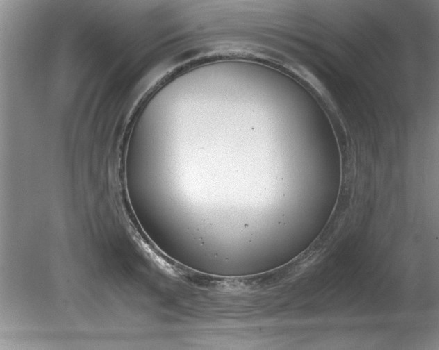 X0000081570799200701221051