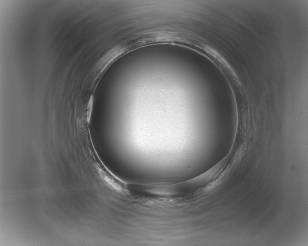 X0000081570801200701221051