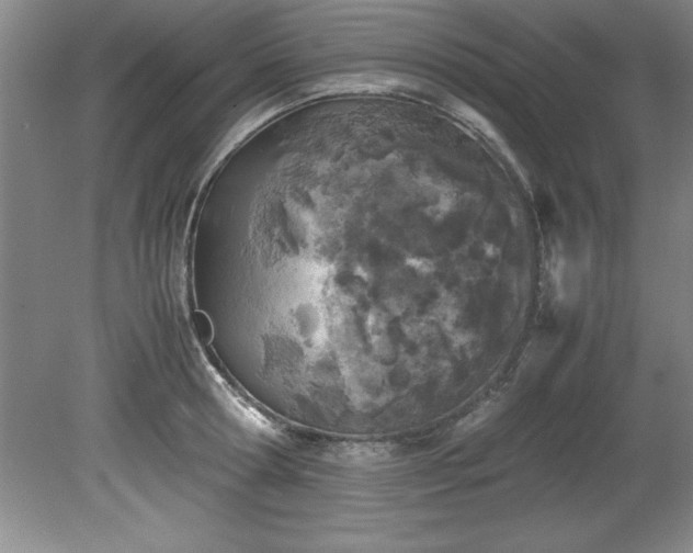 X0000081570802200701221051