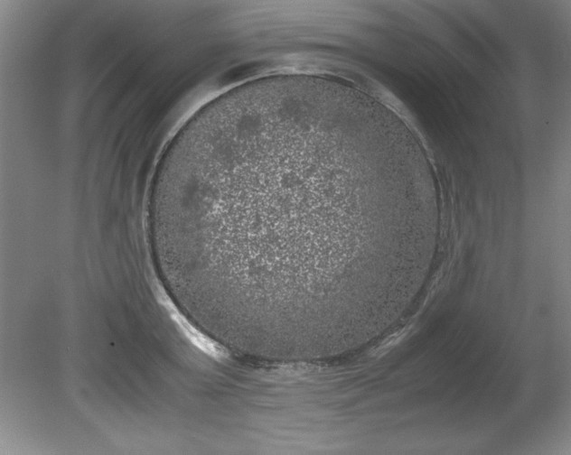 X0000081570803200701221051