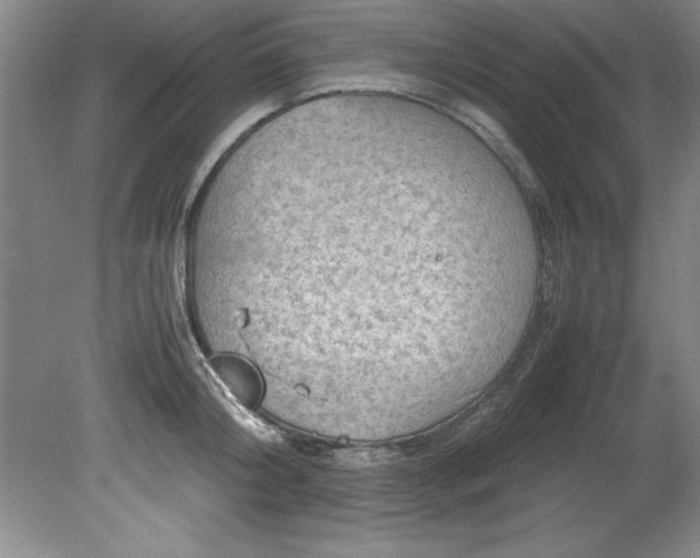 X0000081570804200701221051