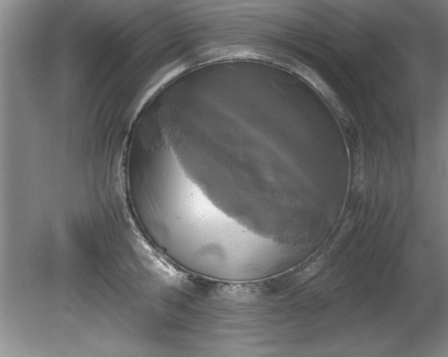 X0000081570806200701221051