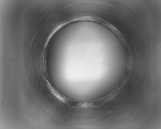 X0000081570808200701221051