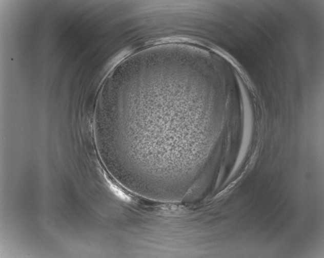 X0000081570809200701221051