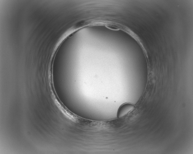 X0000081570811200701221051