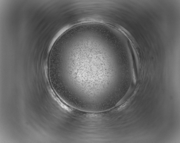 X0000081570812200701221051