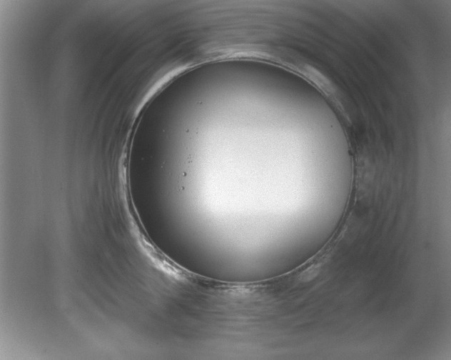 X0000081570814200701221051