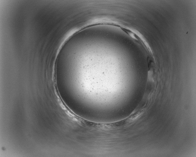 X0000081570815200701221051