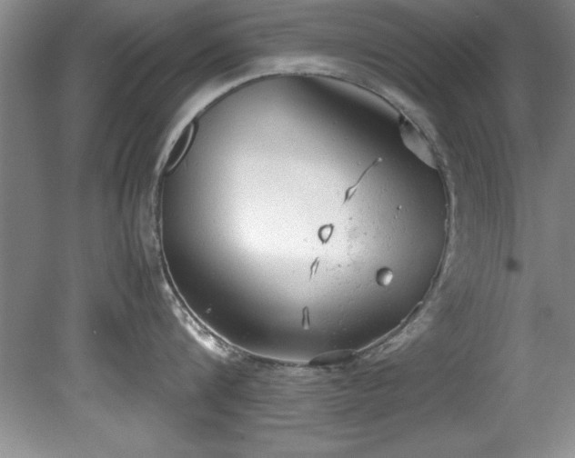 X0000081570816200701221051