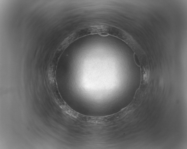 X0000081570819200701221050