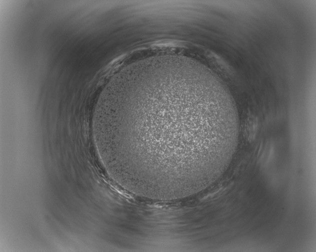 X0000081570821200701221050