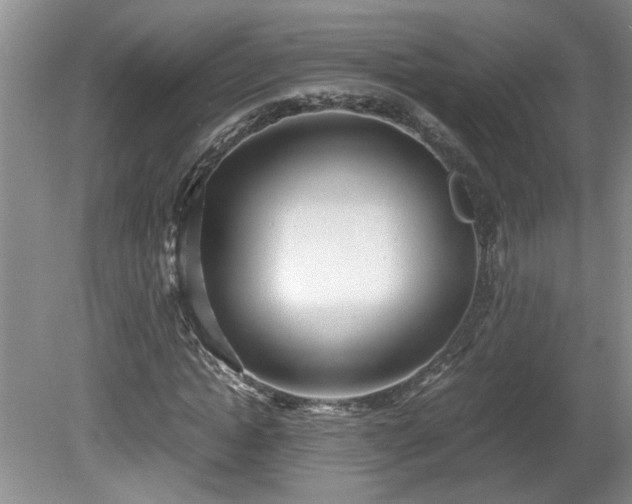 X0000081570822200701221050