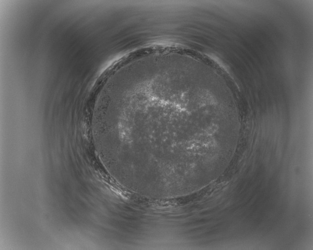 X0000081570823200701221050