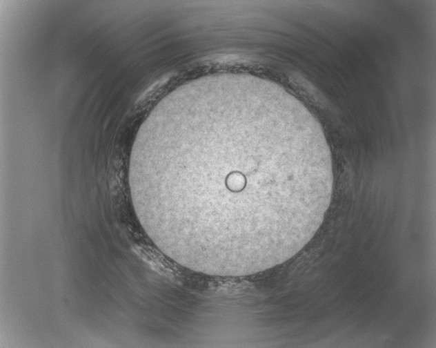 X0000081570824200701221050