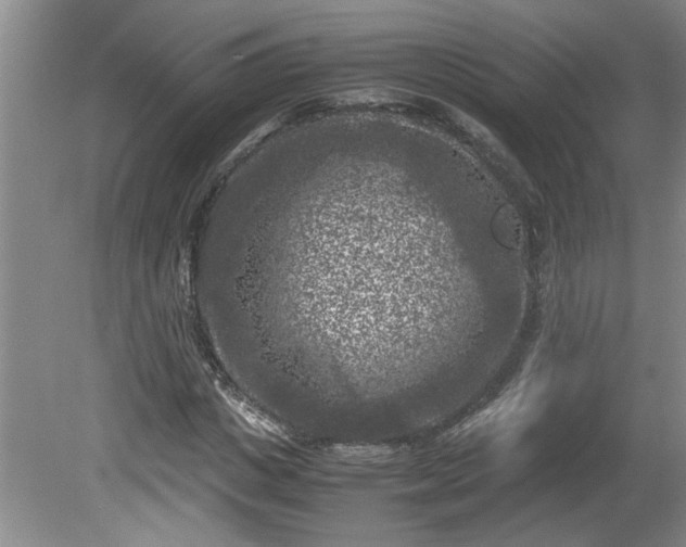 X0000081570825200701221050