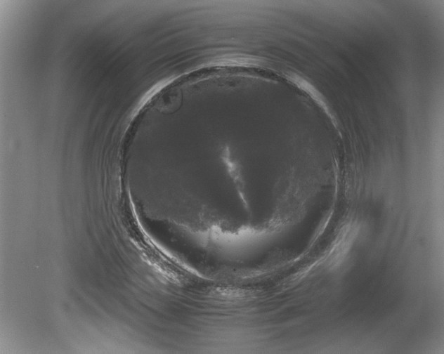 X0000081570829200701221050