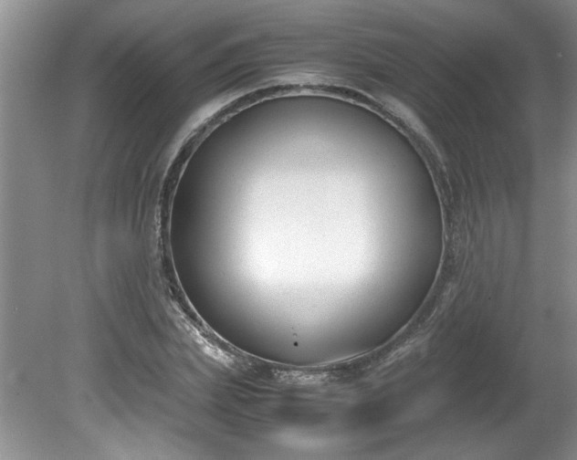 X0000081570831200701221050