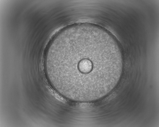 X0000081570832200701221050