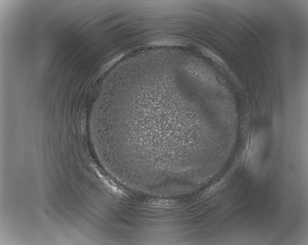 X0000081570833200701221050